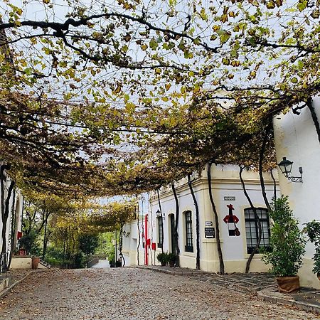 Appartamento Atico Sonnenschein Jerez de la Frontera Esterno foto