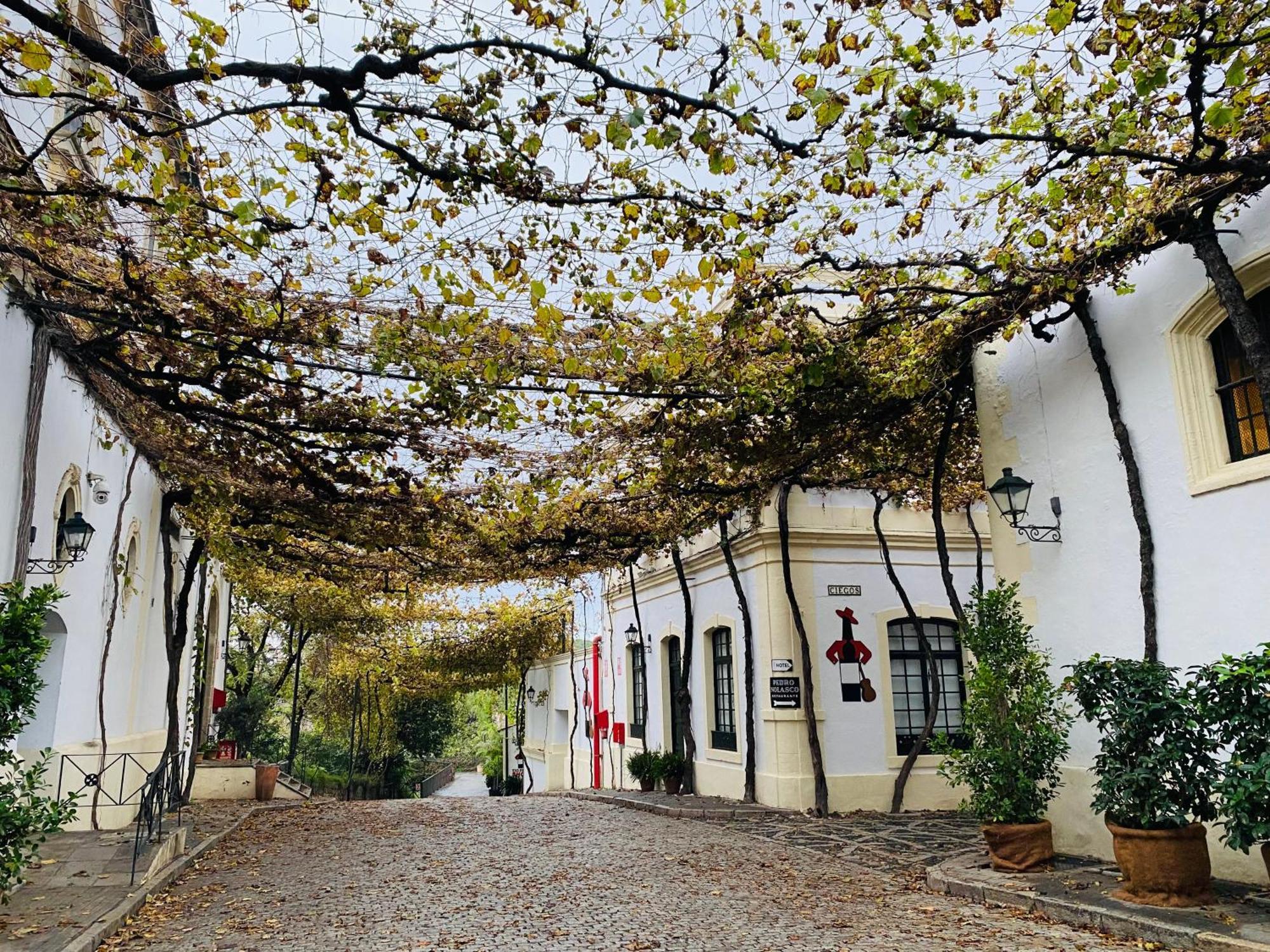 Appartamento Atico Sonnenschein Jerez de la Frontera Esterno foto