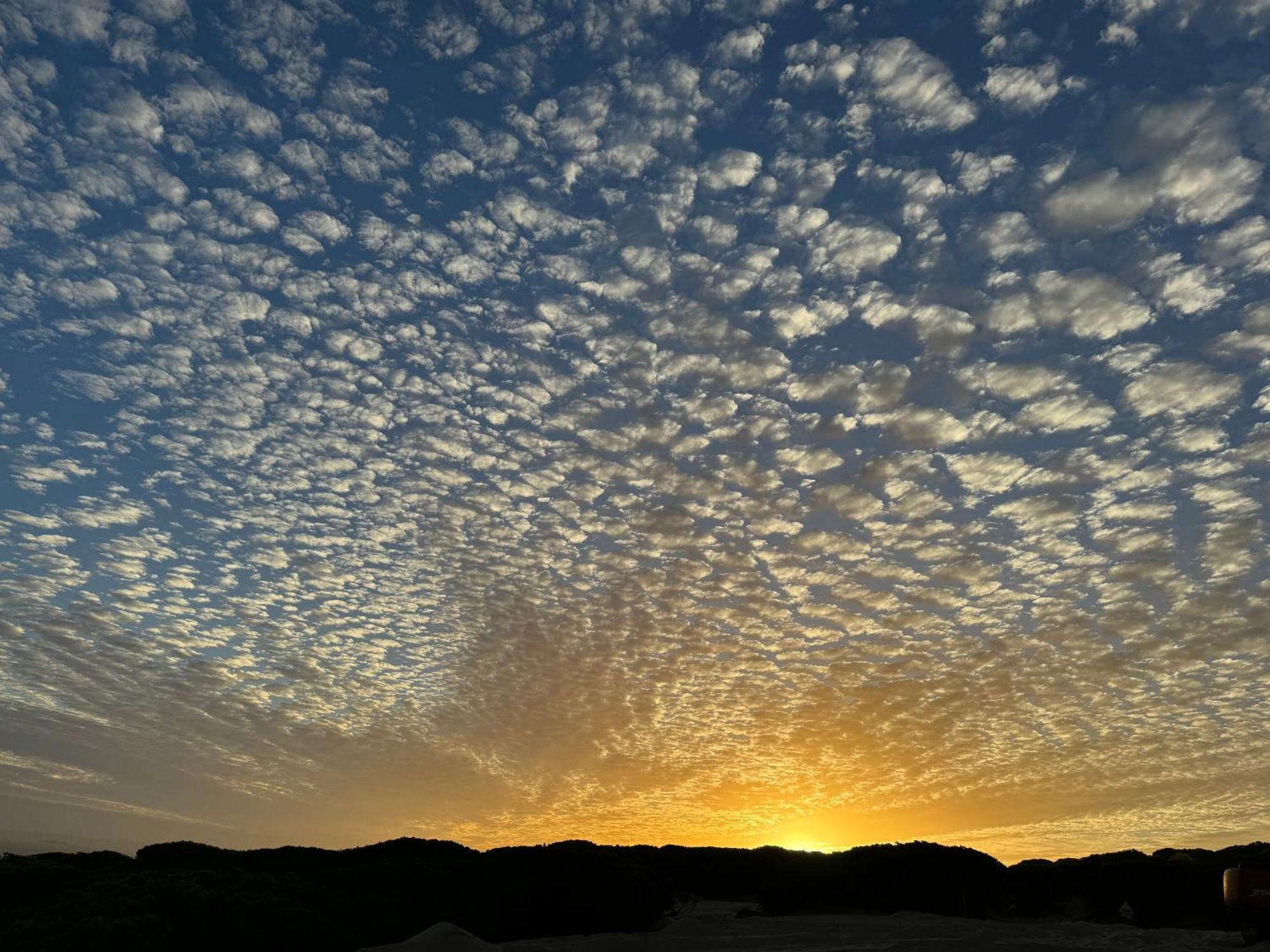 Appartamento Atico Sonnenschein Jerez de la Frontera Esterno foto